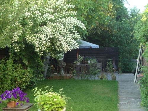 Logement-B&B Safier Joure Exterior photo
